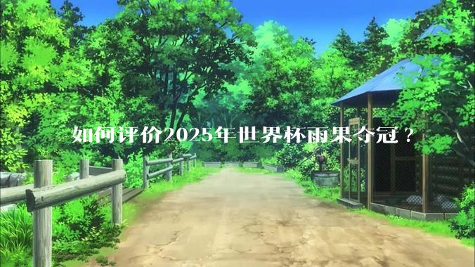 如何评价2025年世界杯雨果夺冠?