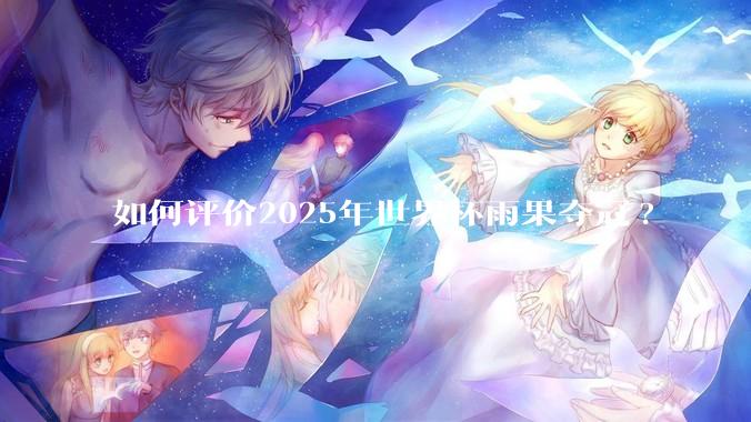 如何评价2025年世界杯雨果夺冠?